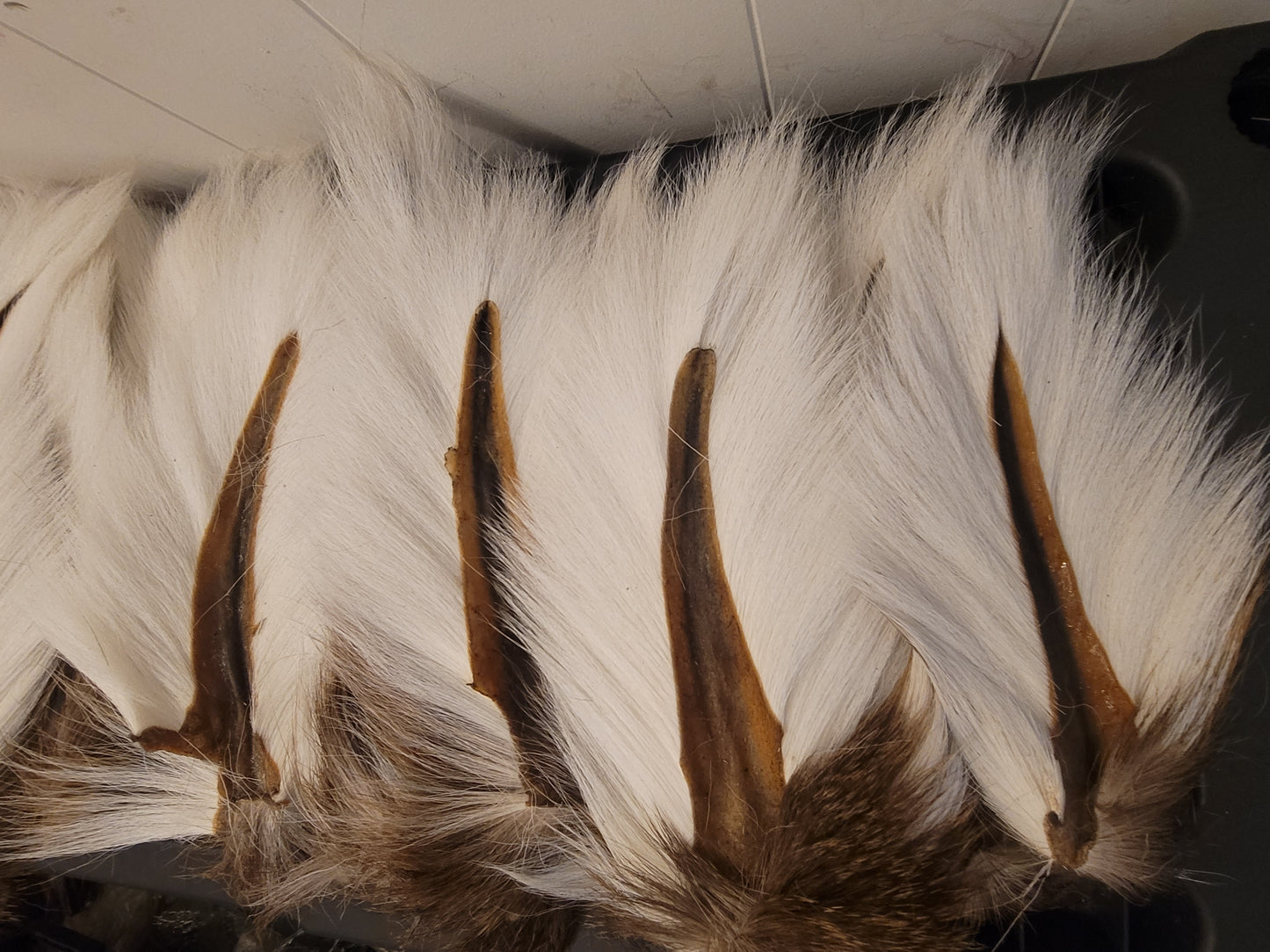 Select Bucktail