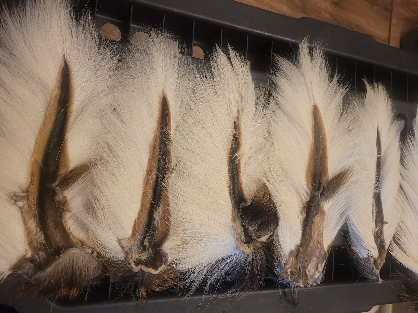 Select Bucktail