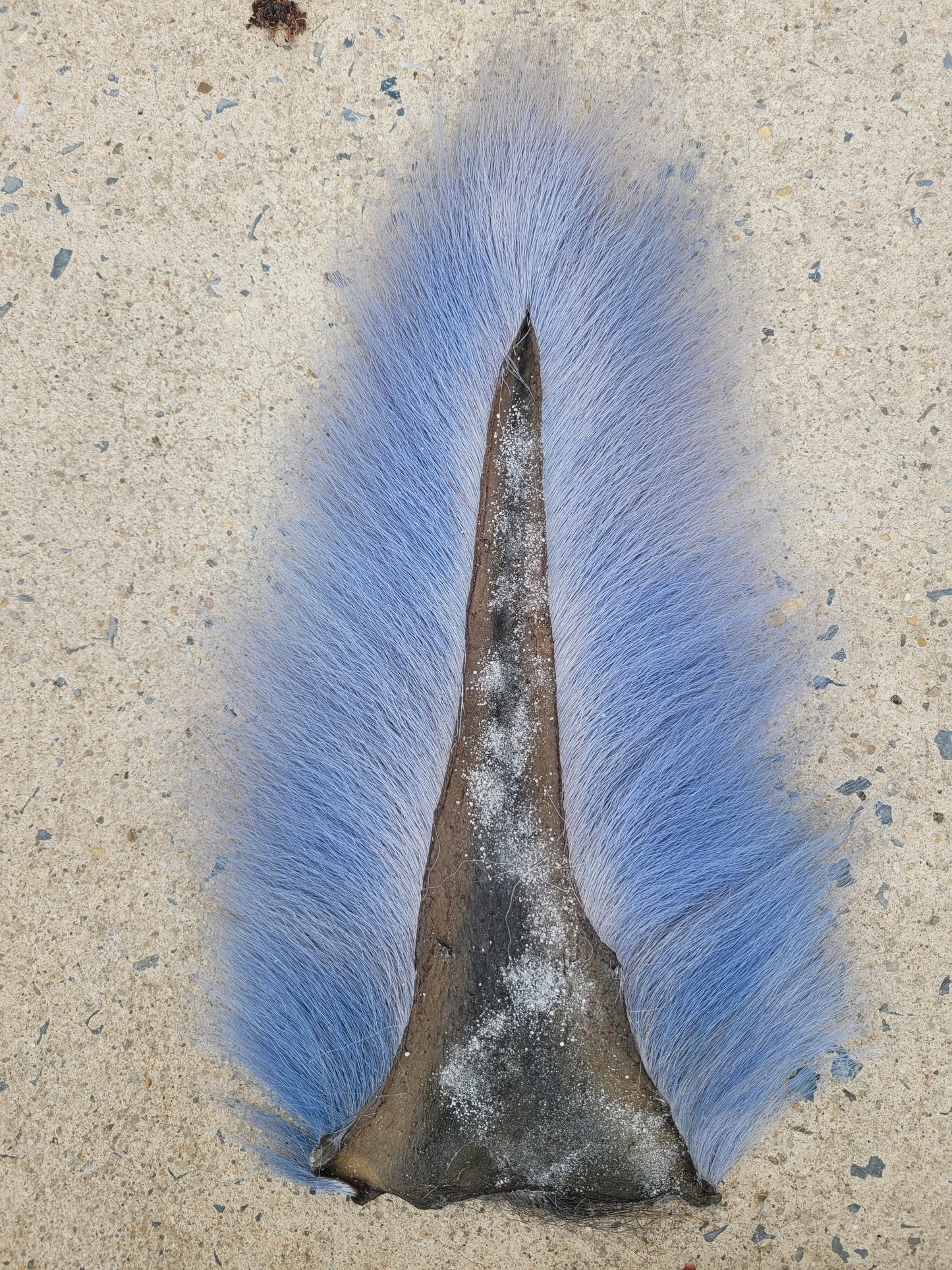 Select Bucktail