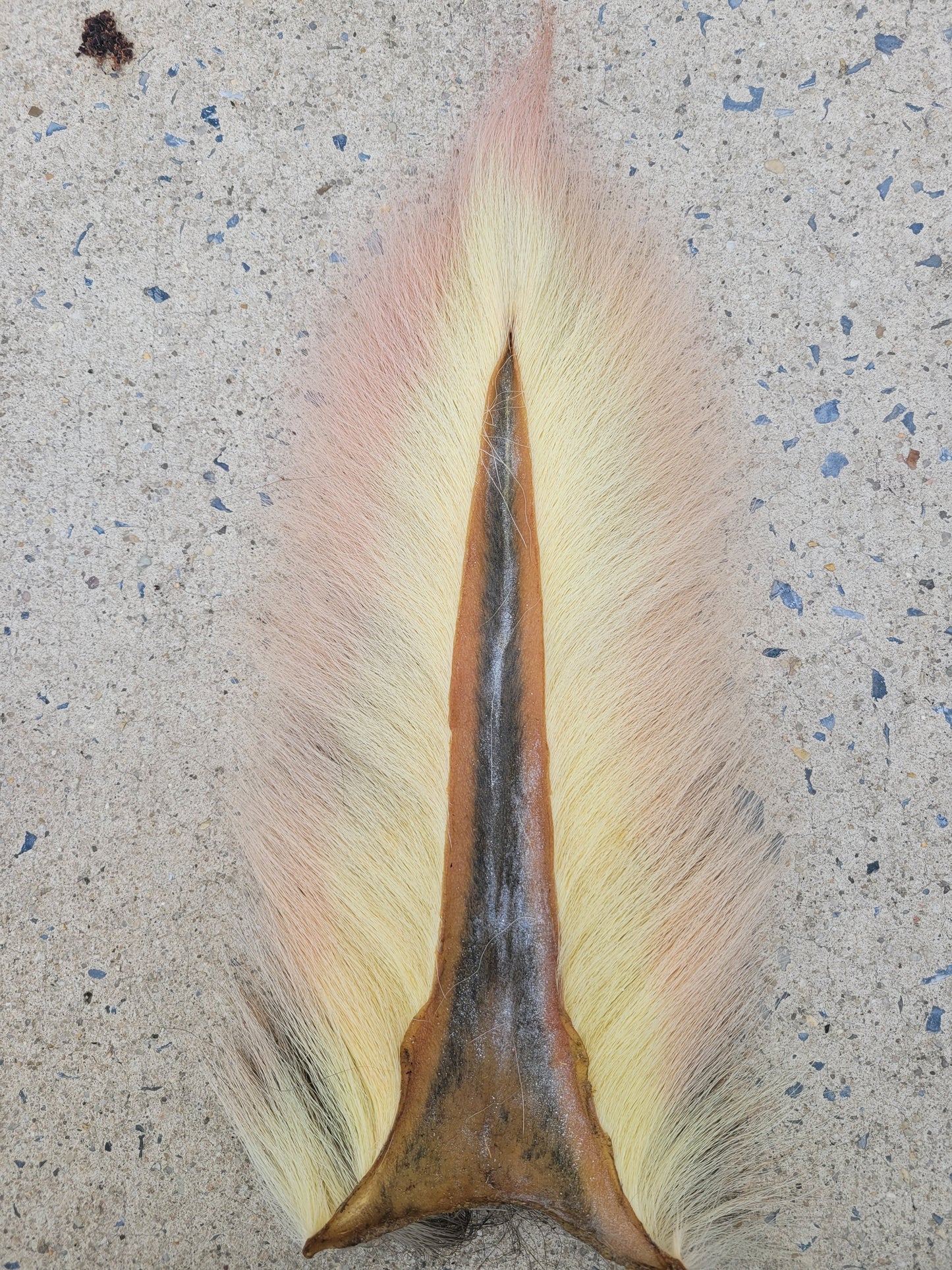 Select Bucktail