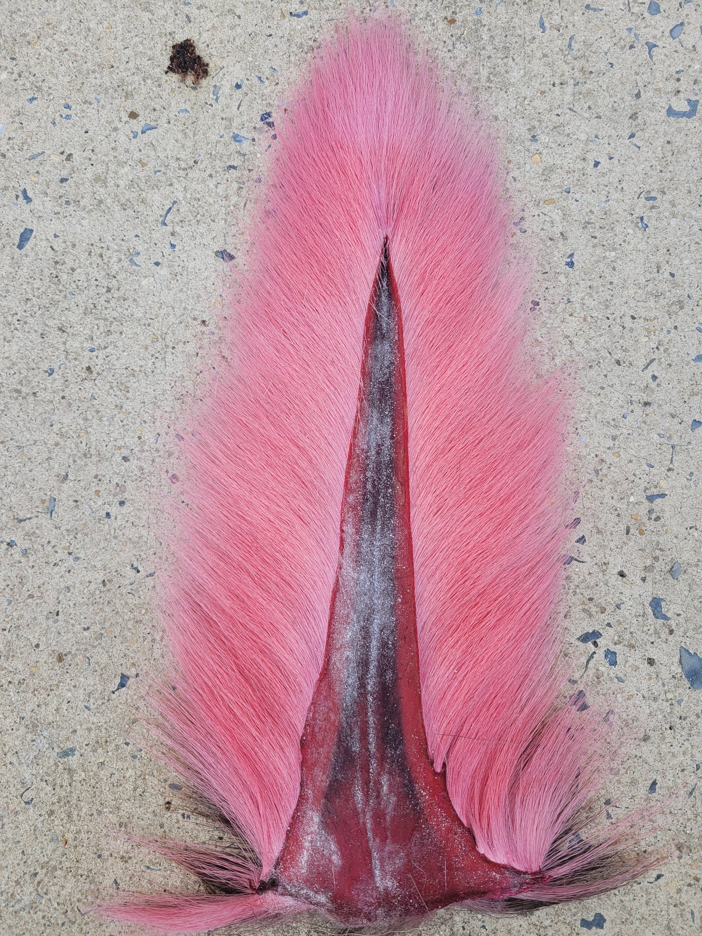Select Bucktail