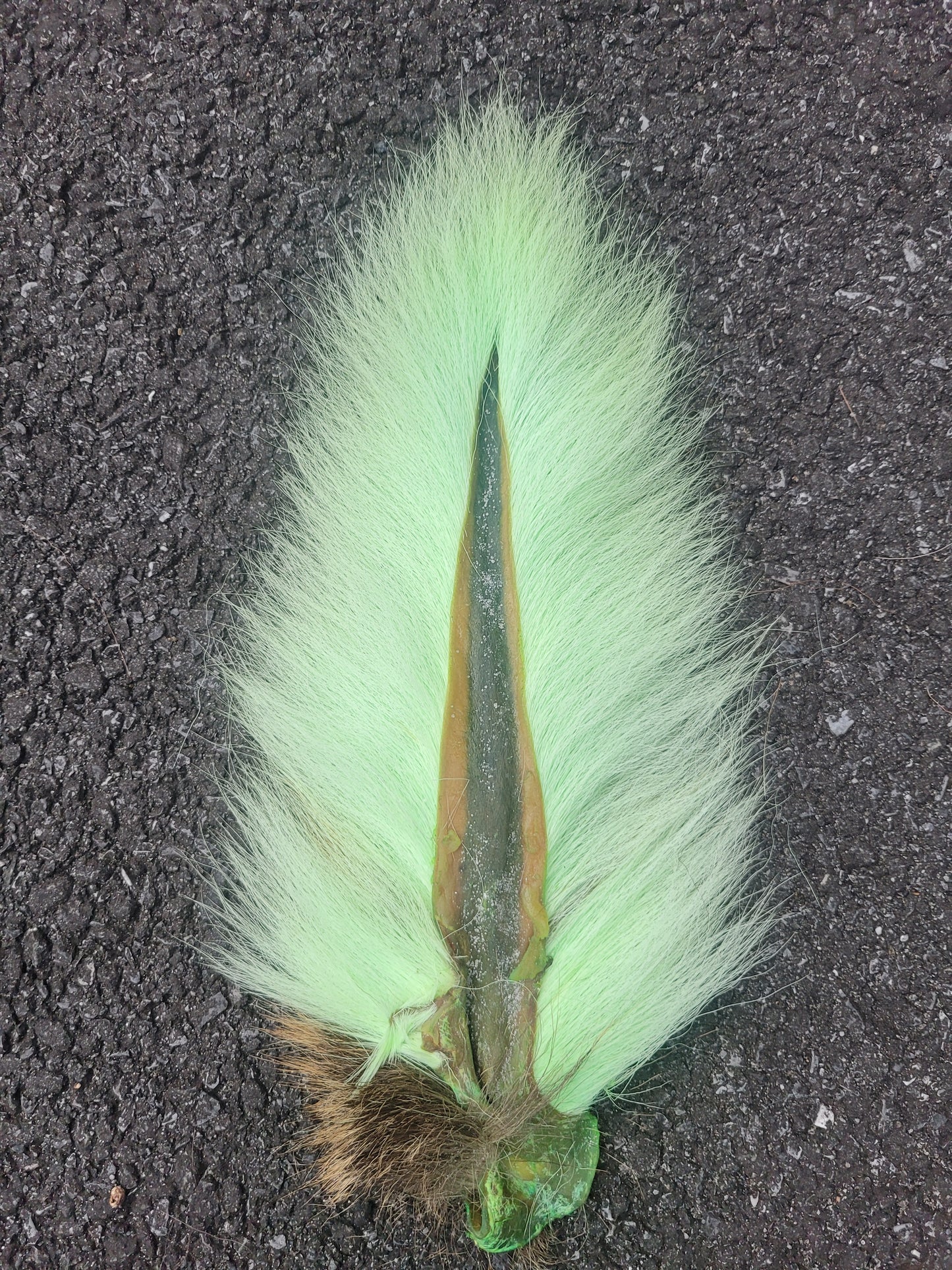 AA Grade Bucktail