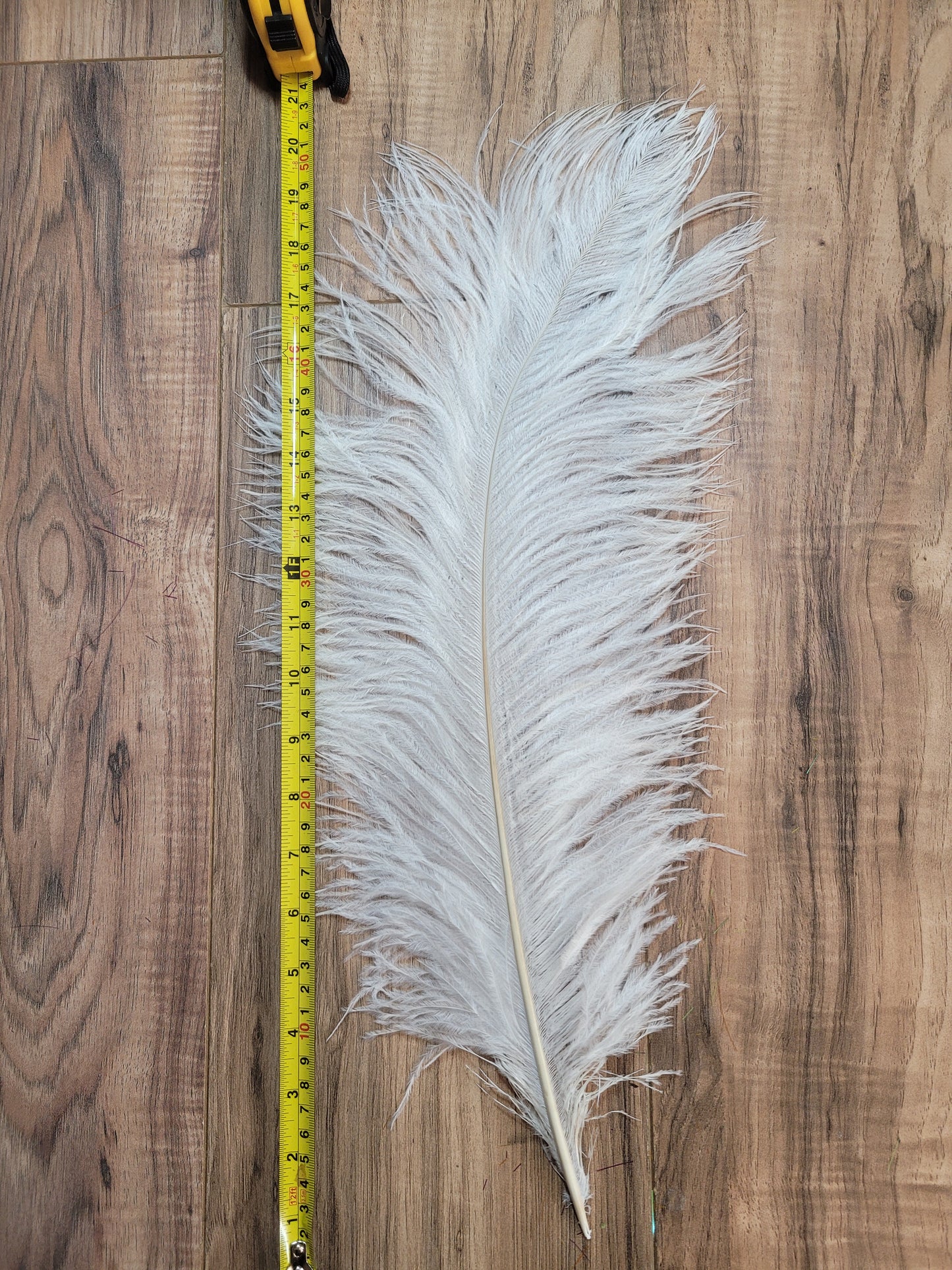 50cm-55cm HG Ostrich Plumes